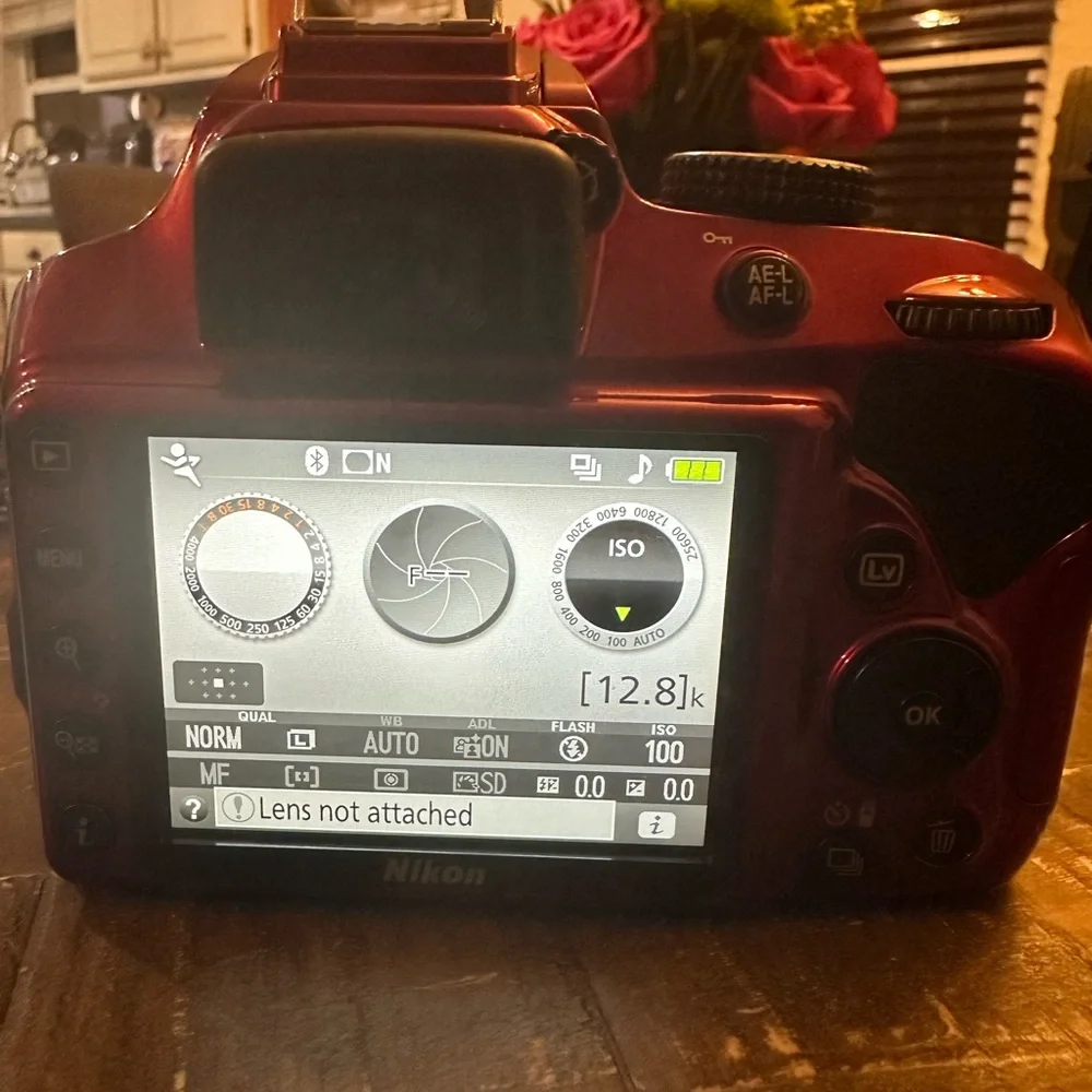 Nikon D3400 DSLR Camera in Vibrant Red